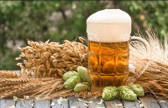 釀造啤酒的原料大麥和啤酒花。圖片來源：圖蟲創(chuàng)意