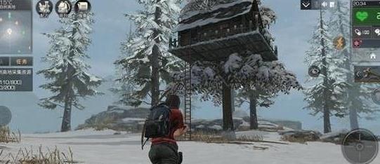 白樹高地奇遇任務(wù)NPC刷新時間地點(diǎn)大全 明日之后白樹高地NPC位置