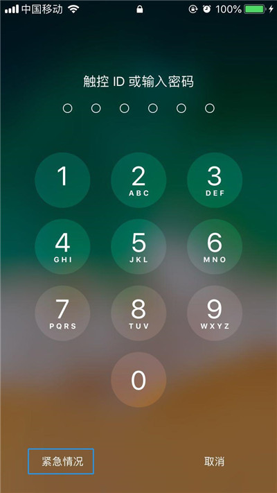iPhone XR/XS Max醫(yī)療急救卡信息如何查看?