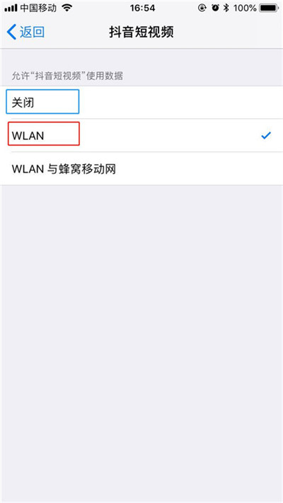 蘋(píng)果iPhone XR/XS Max怎么禁止軟件使用流量?