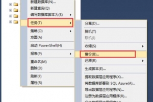 詳解SQL Server 2012數(shù)據(jù)庫(kù)備份與還原的教程