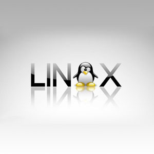 DLINUX系統(tǒng)