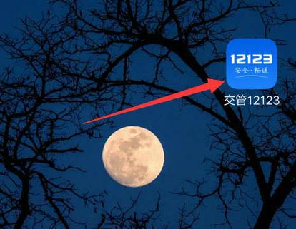 交管12123檢驗(yàn)合格標(biāo)志電子版在哪里查看？