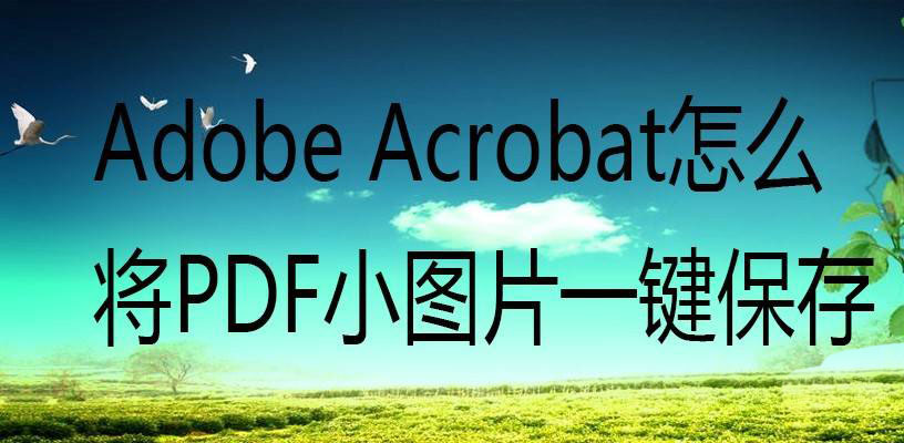 Acrobat怎么批量保存PDF小圖片？adobe Acrobat一鍵保存pdf小圖片的技巧